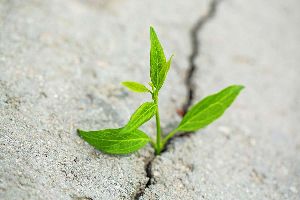 Becoming More Resilient In The Face Of Chronic Illness